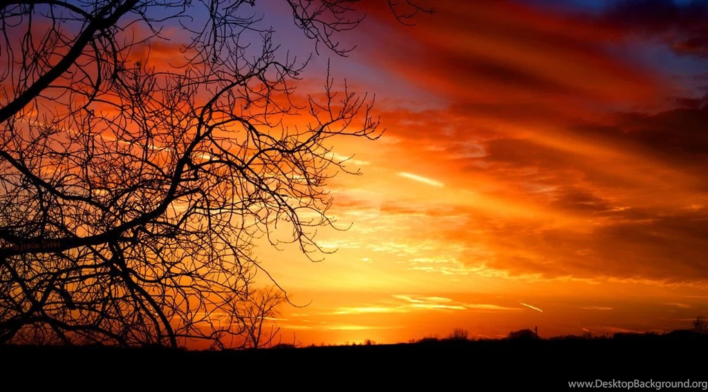 25+ Beautiful Sunset Wallpapers – Design Bump