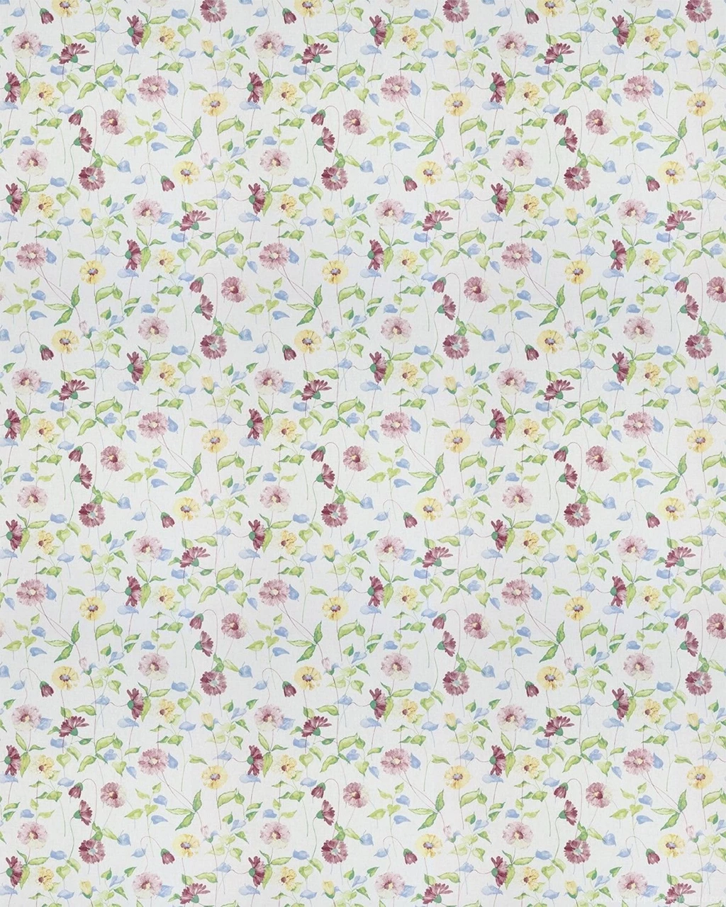 Daisy Chain Chintz By Prestigious : Wallpapers Direct