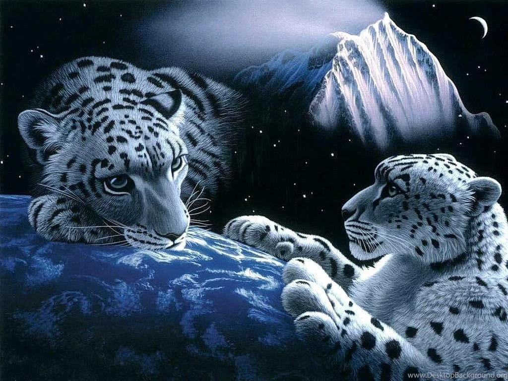 Wallpapers 3D4
