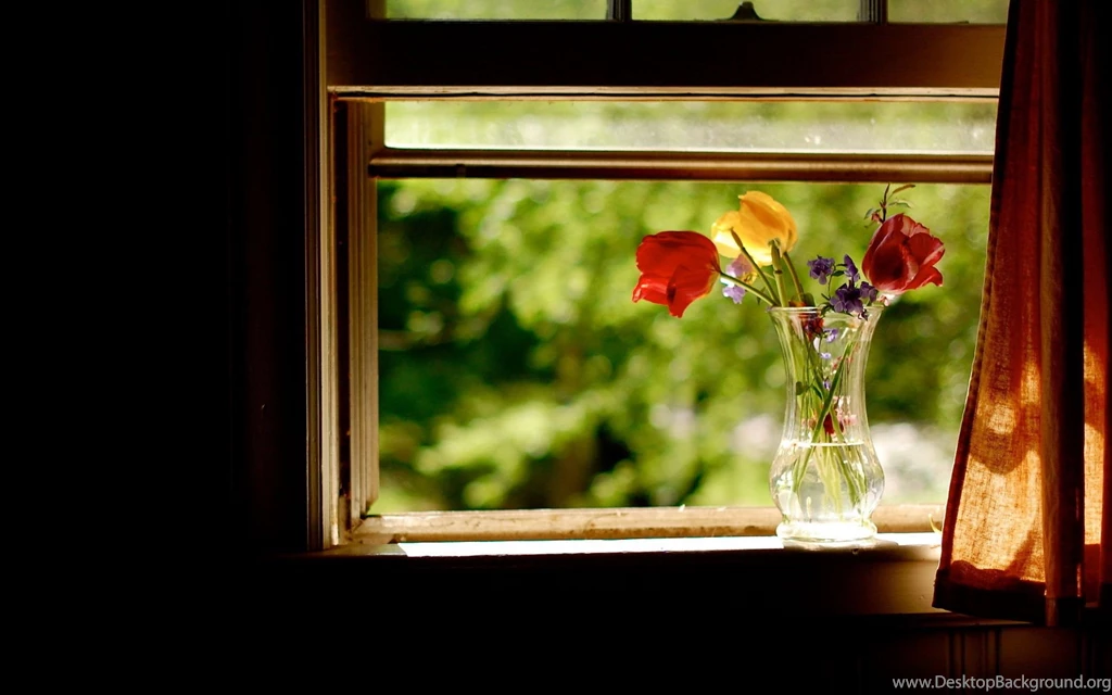 Lovely Vase In Window Wallpapers 7369 1920 X 1200 WallpaperLayer.com