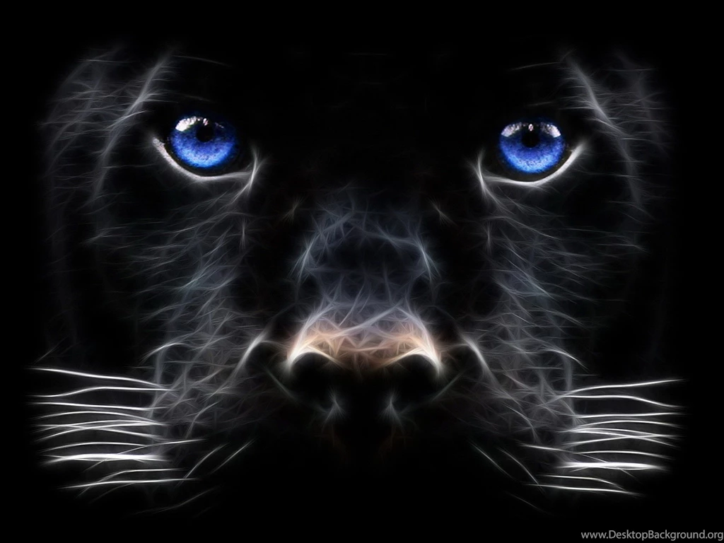 Panther Wallpapers