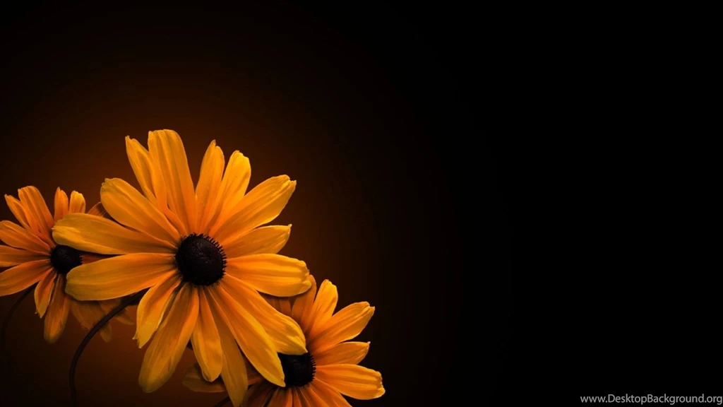 Widescreen HD Wallpapers Plants