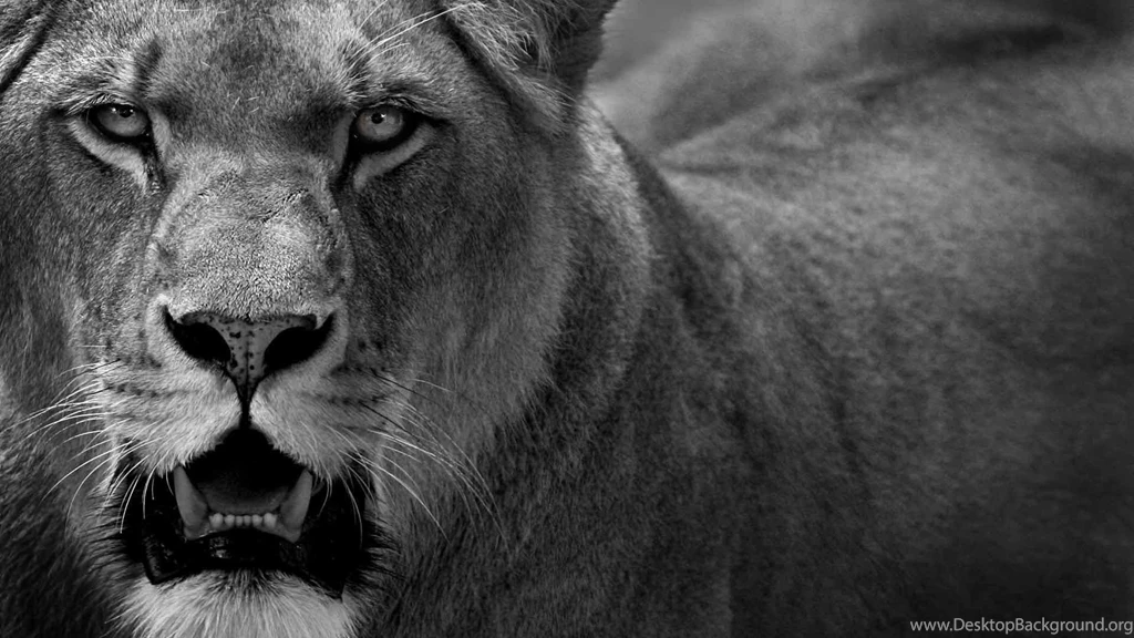 Powerful >> HD Wallpaper, Get It Now!