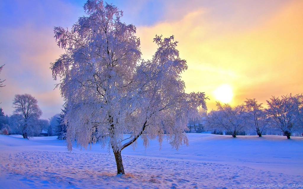 Winter Sunset Desktop Wallpapers , New Wallpapers, New Wallpapers