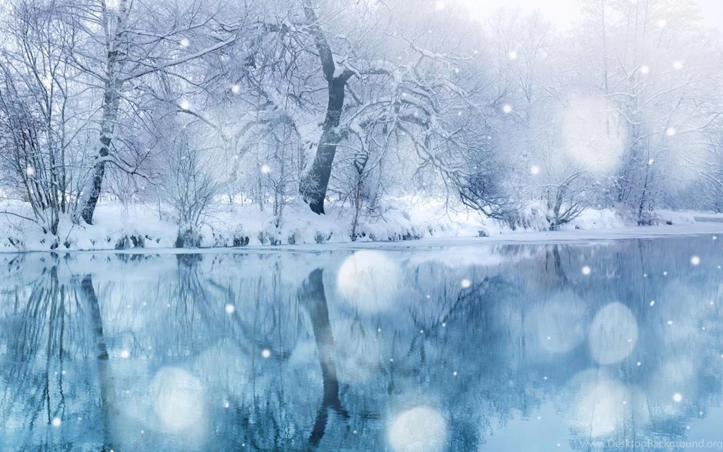 Winter Snowfall Mac Wallpapers Download Free Mac Wallpapers ...