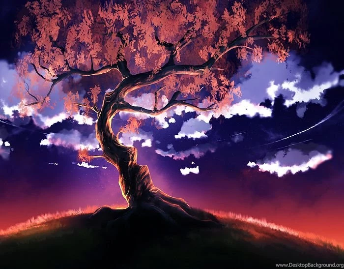 Woody Land Live Wallpapers By Love Artists On DeviantArt