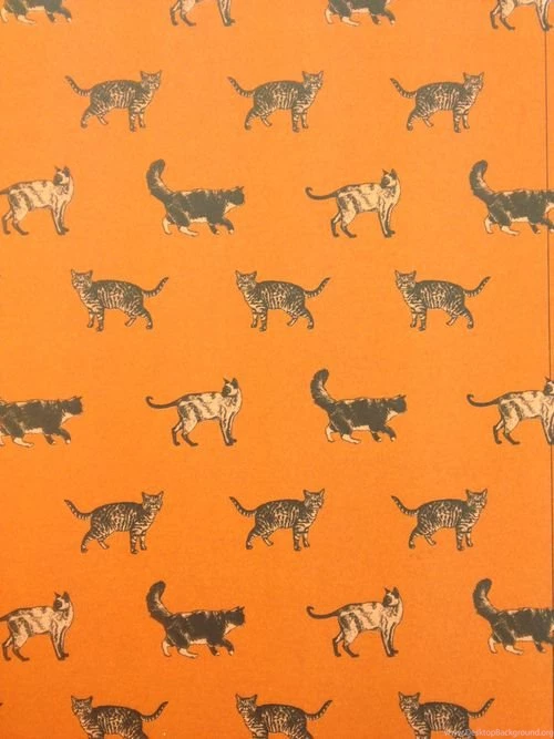 Funny Cute Weird Orange Cats Wallpaper Backgrounds Bawnie •