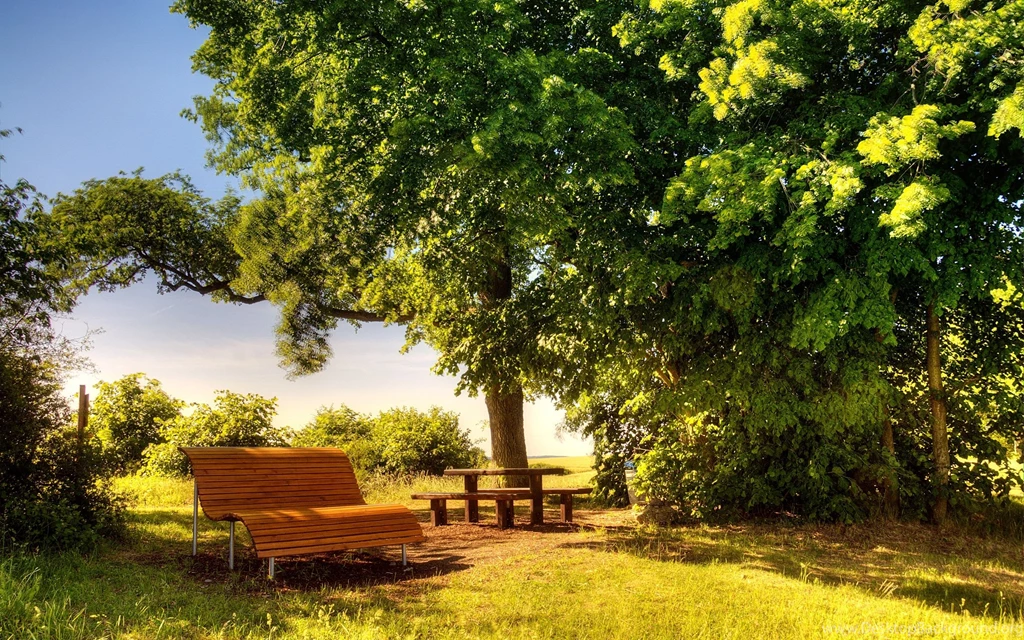 Dream Summer 2012 A Sunny Day Wallpapers HD Wallpapers 96320