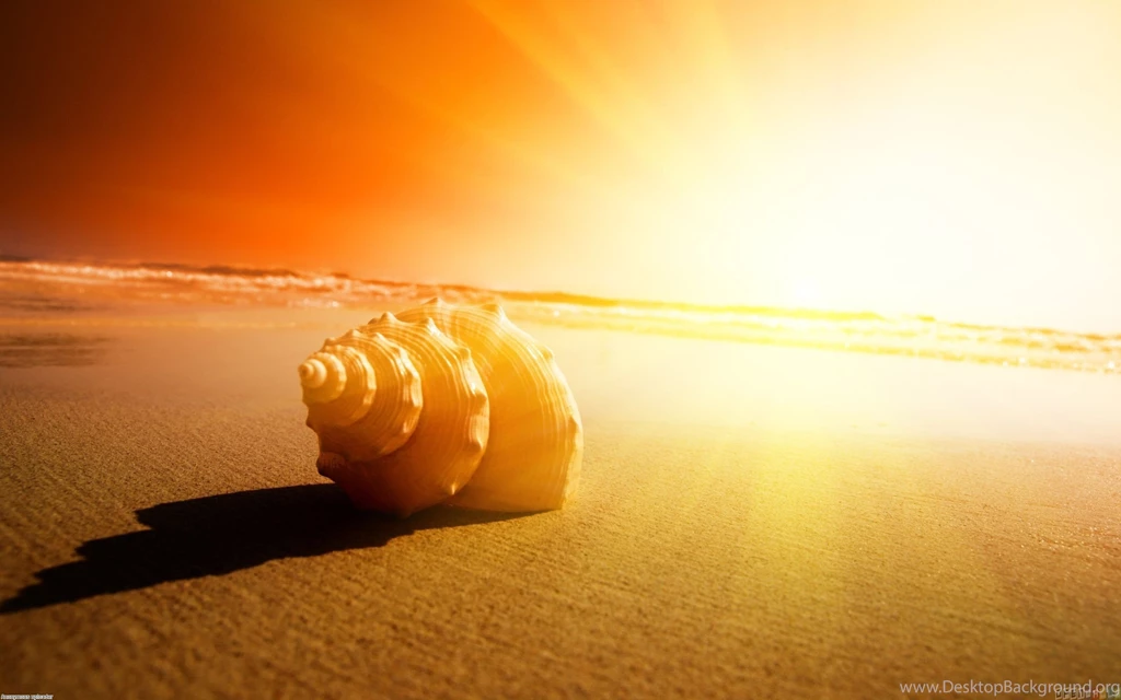 Wallpapers Naruto Horror Beautiful Sunny Beach 2560x1600