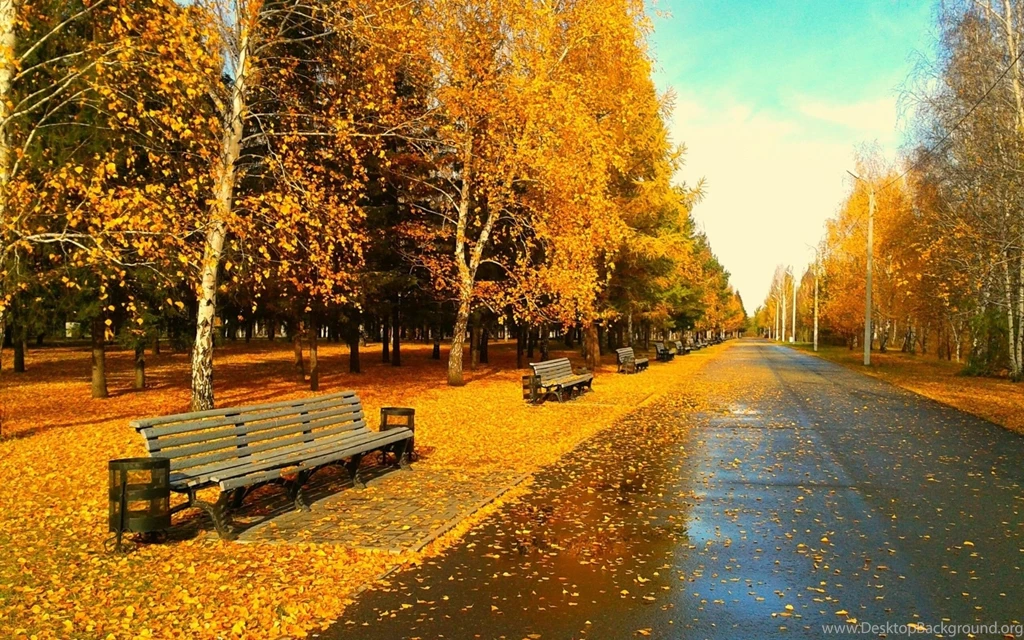 Sunny Autumn Day Wallpapers