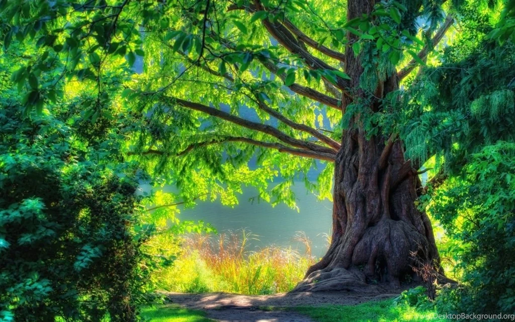 Beautiful Nature Widescreen Wallpapers