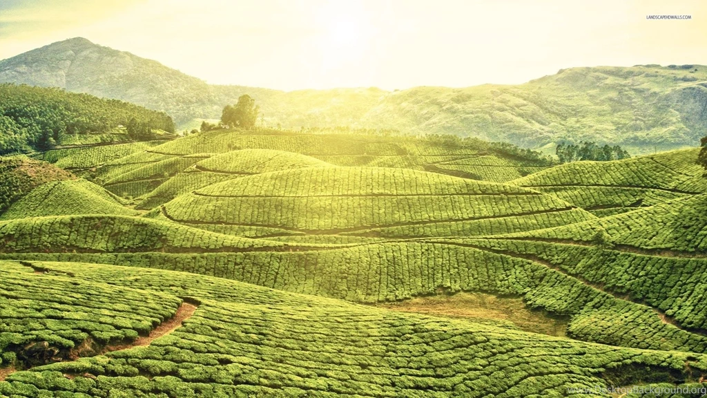 Sunny Green Hills Wallpapers