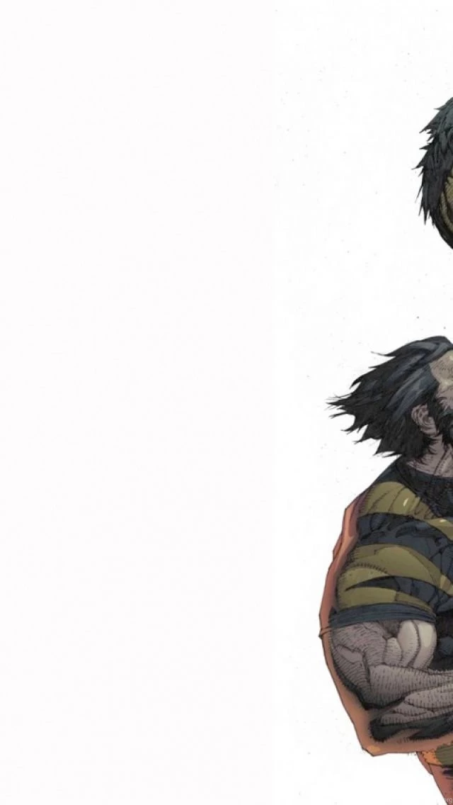 Hulk Vs Wolverine iPhone 5 Wallpapers
