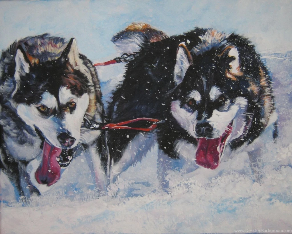 Drawing Alaskan Malamute In Harness Photo And Wallpaper. Beautiful ...