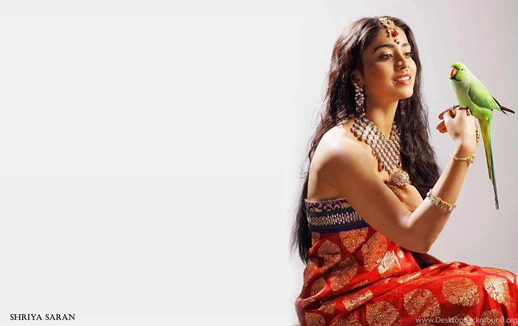 Beautiful Shriya Saran Saree Hd Wallpapers