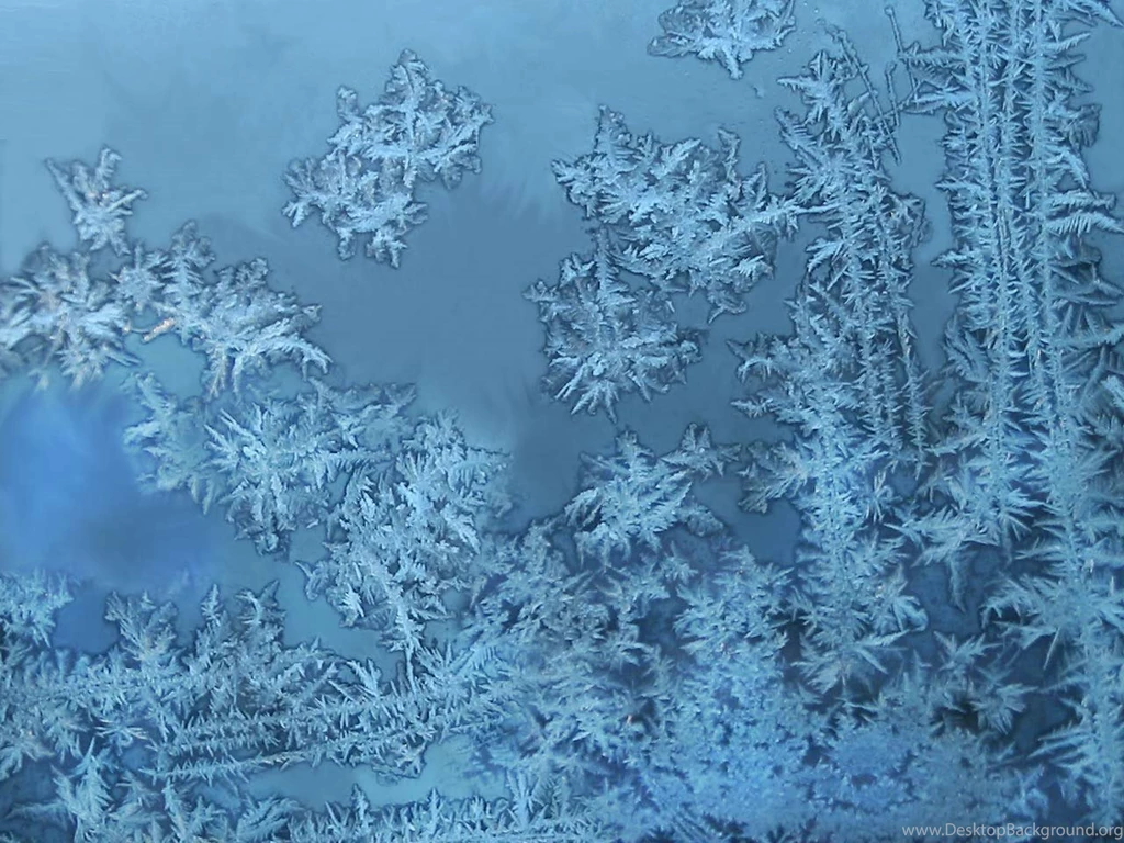 Winter Scene Wallpapers