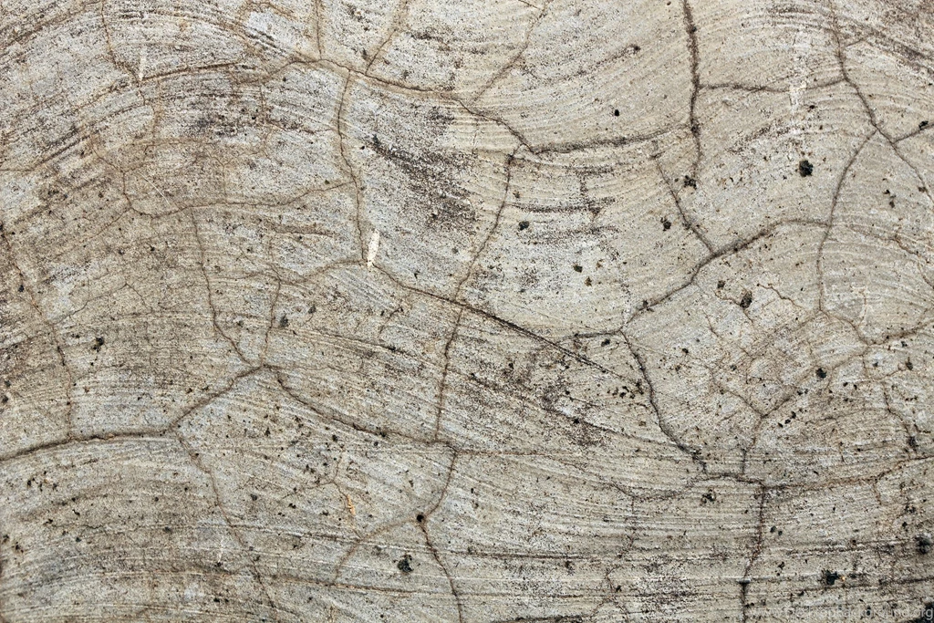 Concrete Wall With Tiny Cracks For Website Backgrounds And ...