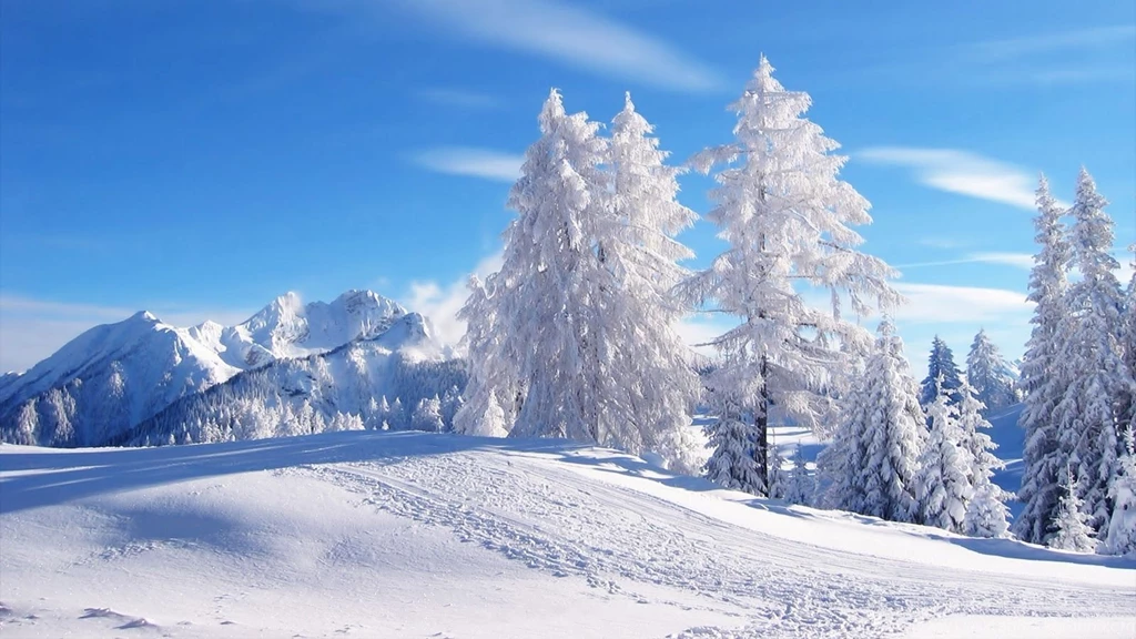 Winter Scene Backgrounds Wallpapers Cave