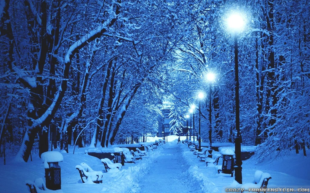 Winter Park Wallpapers Crazy Frankenstein