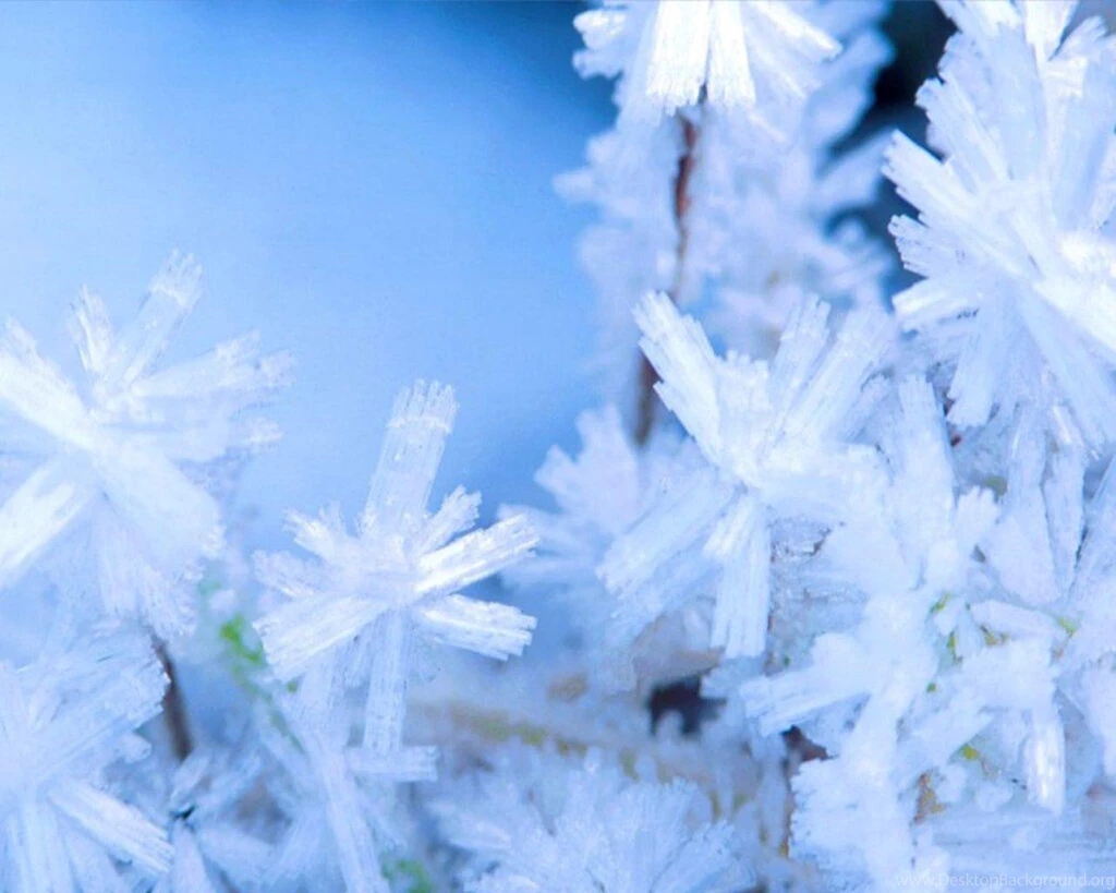 Free Wallpapers Winter Scenes