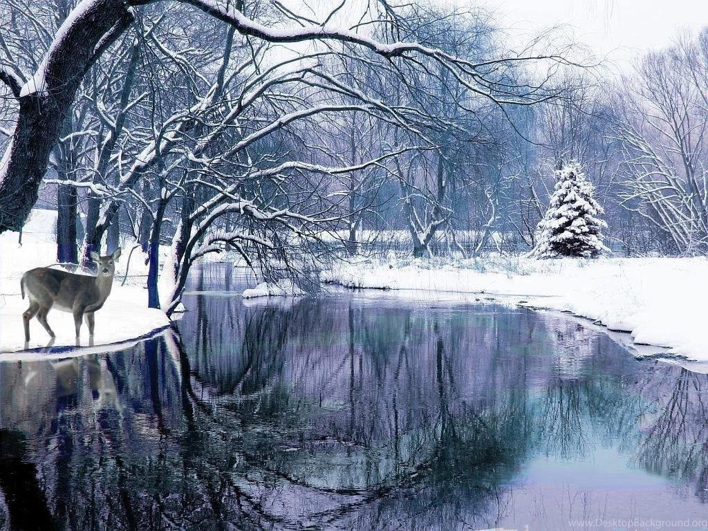 Winter Scenes Wallpapers 12 Backgrounds Wallruru