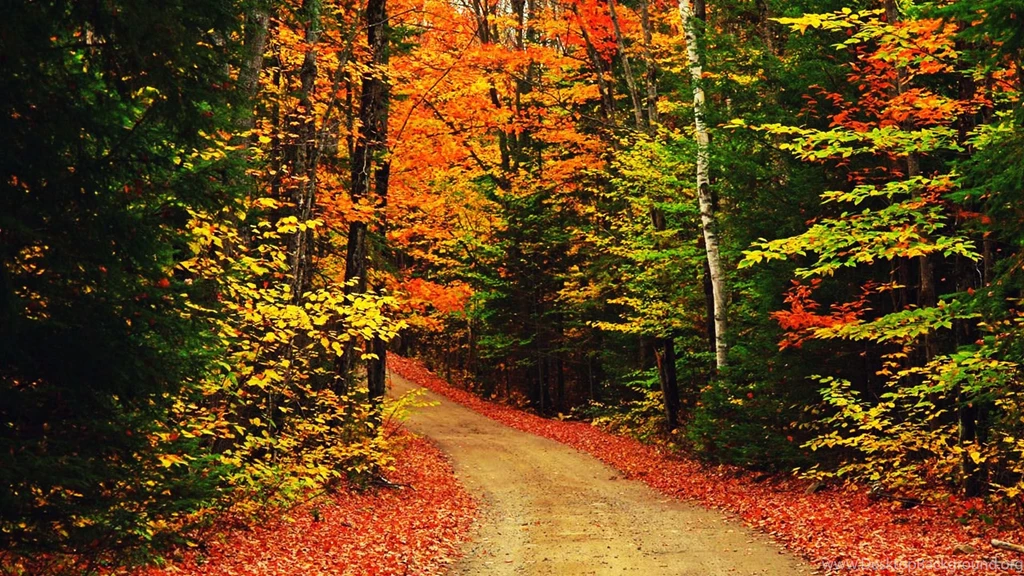 Wallpapers Imac Gnature Nature Hd Mac Apple Autumn Daylight ...