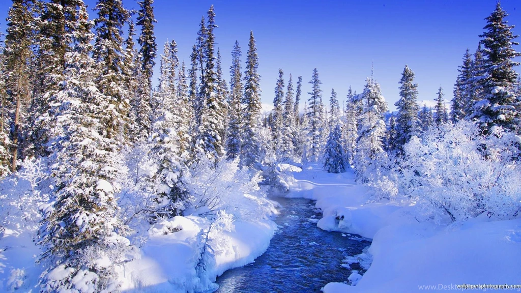 Winter Wallpapers Scenes Wallpapers Cave