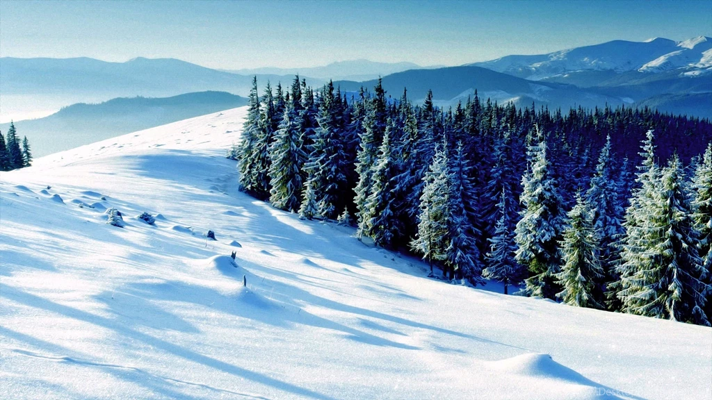 Winter Scene