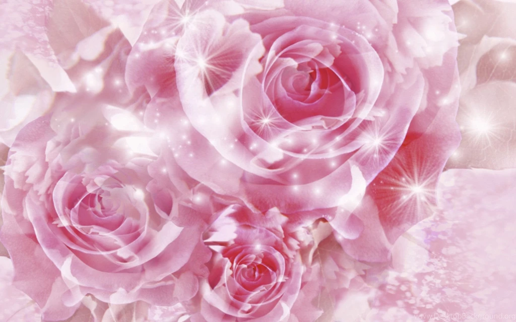 Pretty Pink Roses Wallpapers Pink (Color) Photo (34590746) Fanpop