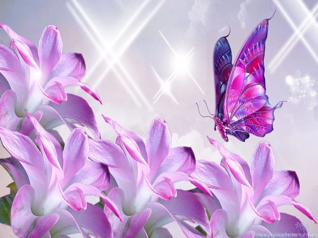 Refreshing And Beautiful Flowers Wallpapers