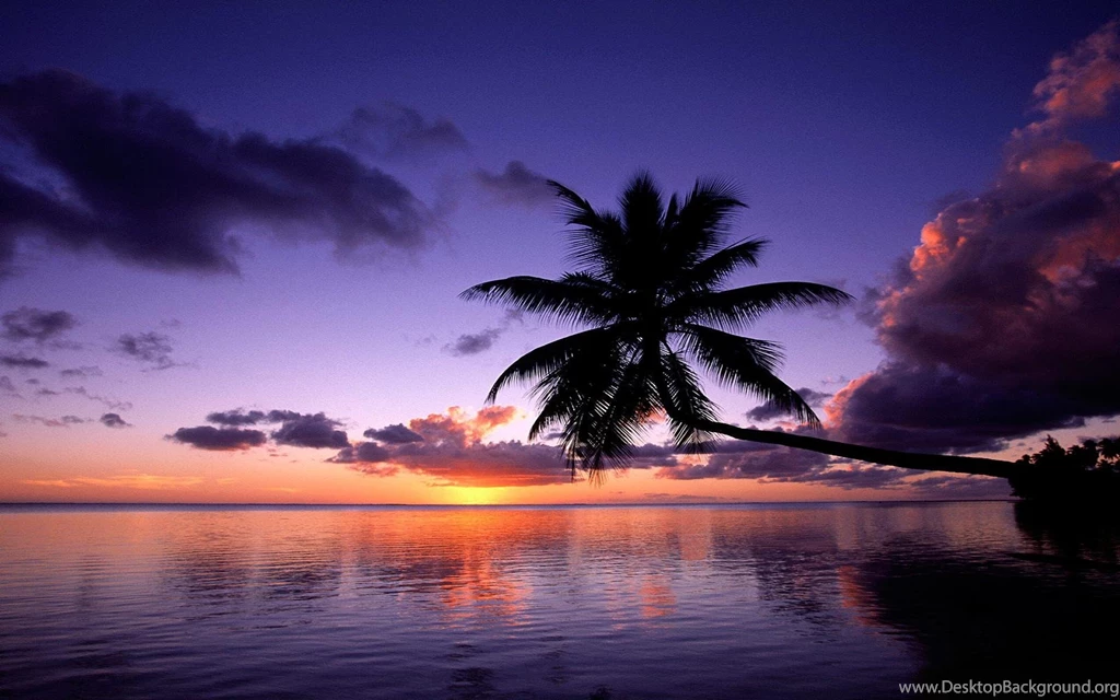 Tropical Island Paradise Sunset Wallpaper.