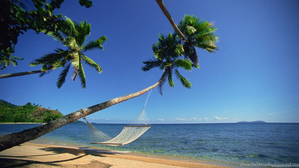 Tropical Beach Hammock Wallpaper.