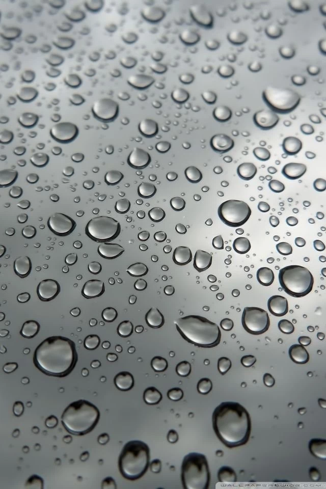Raindrop HD Desktop Wallpapers : Widescreen : High Definition : Mobile