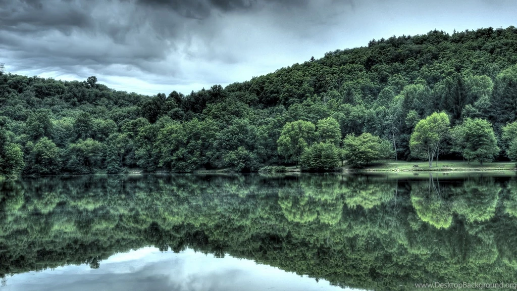Contrast, Preview, Green, Forest, Wallpapers, Desctopwalls ...