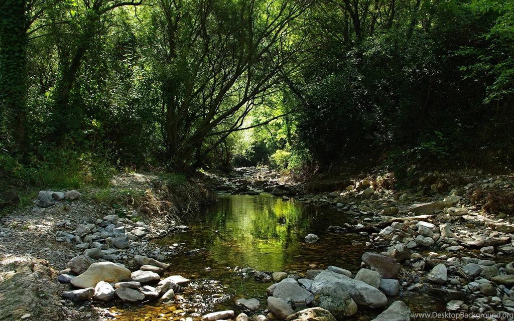 Fairy Forest Desktop HD Wallpapers Ready To Download Only For FREE ...