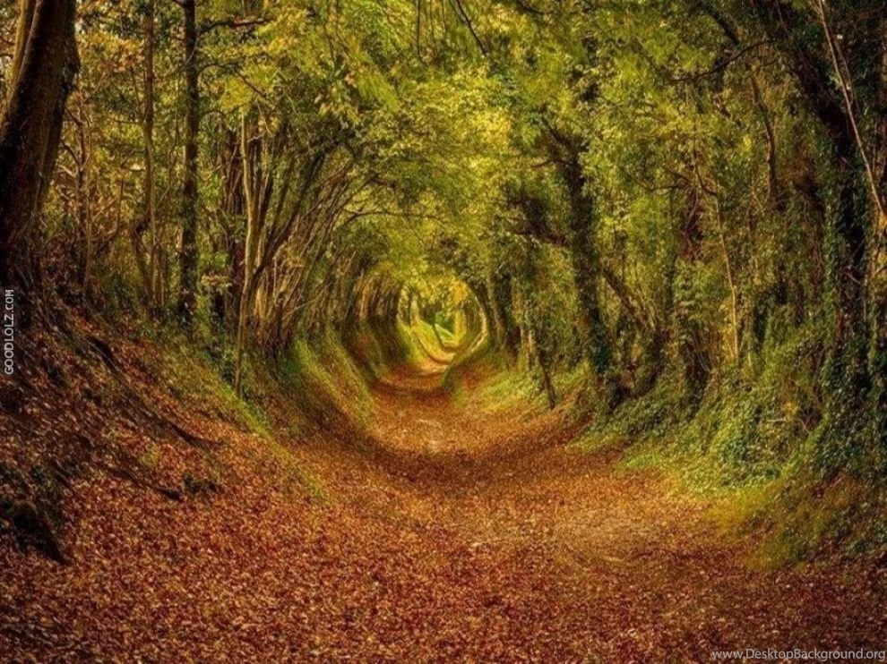 Ashdown Forest Wallpapers Desktop Goodlolz