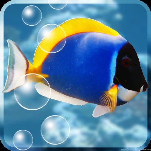 Download Free Aquarium Free Live Wallpaper,Free Aquarium Free Live ...
