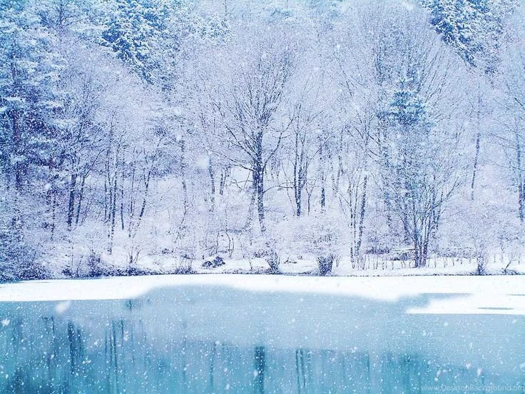 Photo Of Beautiful Christmas Wall Paper