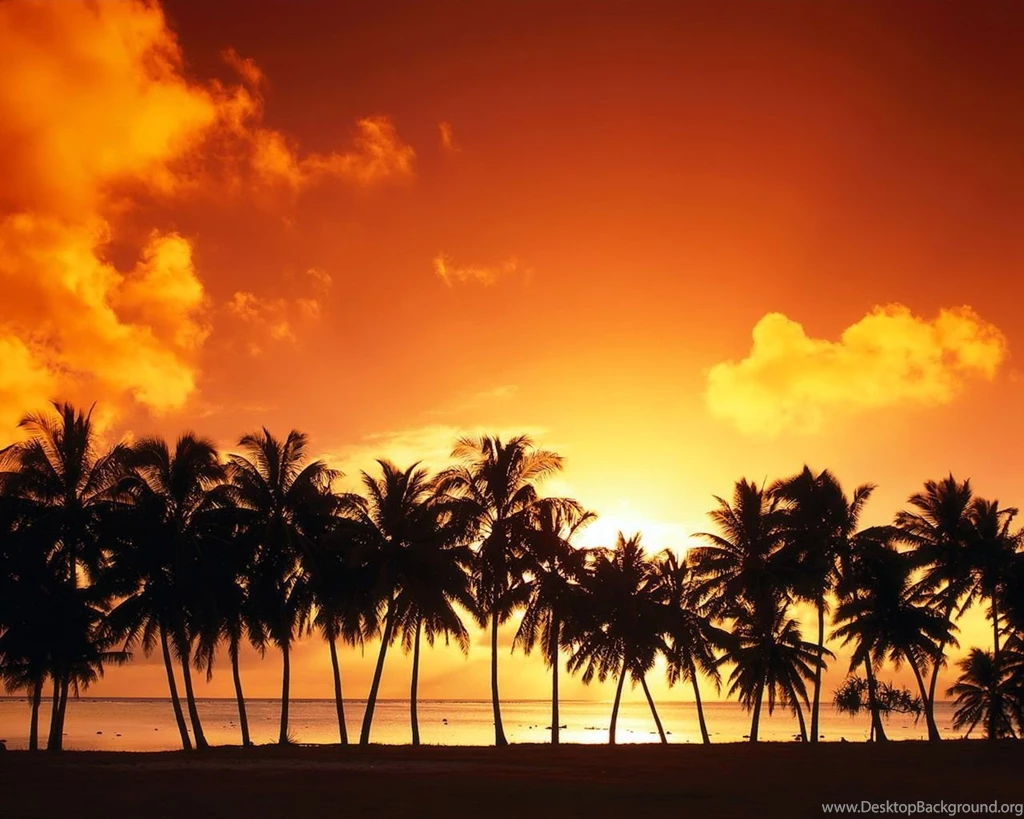 Sunset Beach With Trees Landscape Landscape
