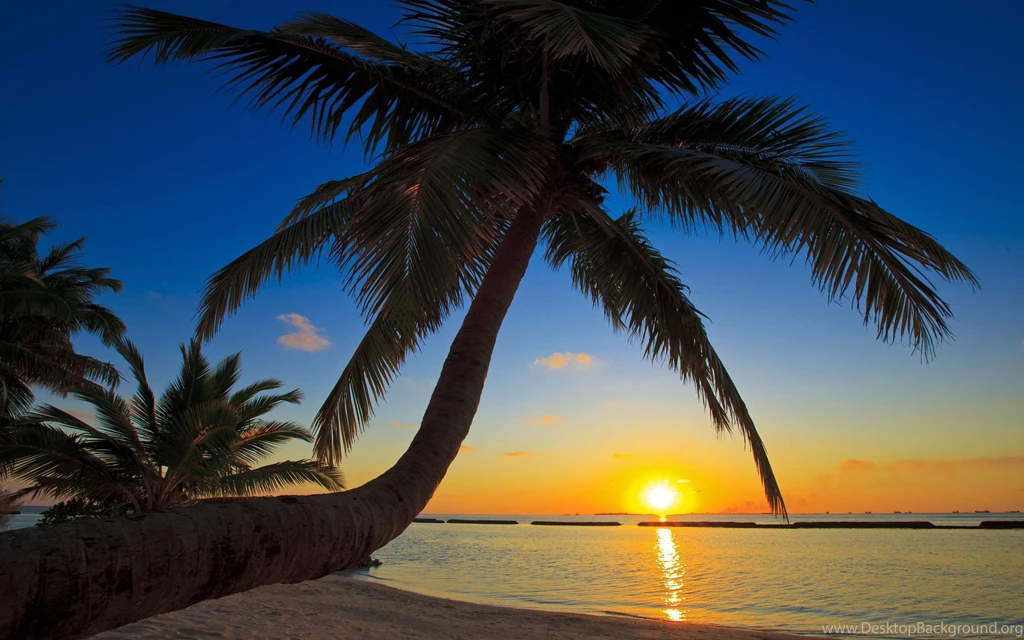 Sunset Beach Photos Gallery Landscape Landscape