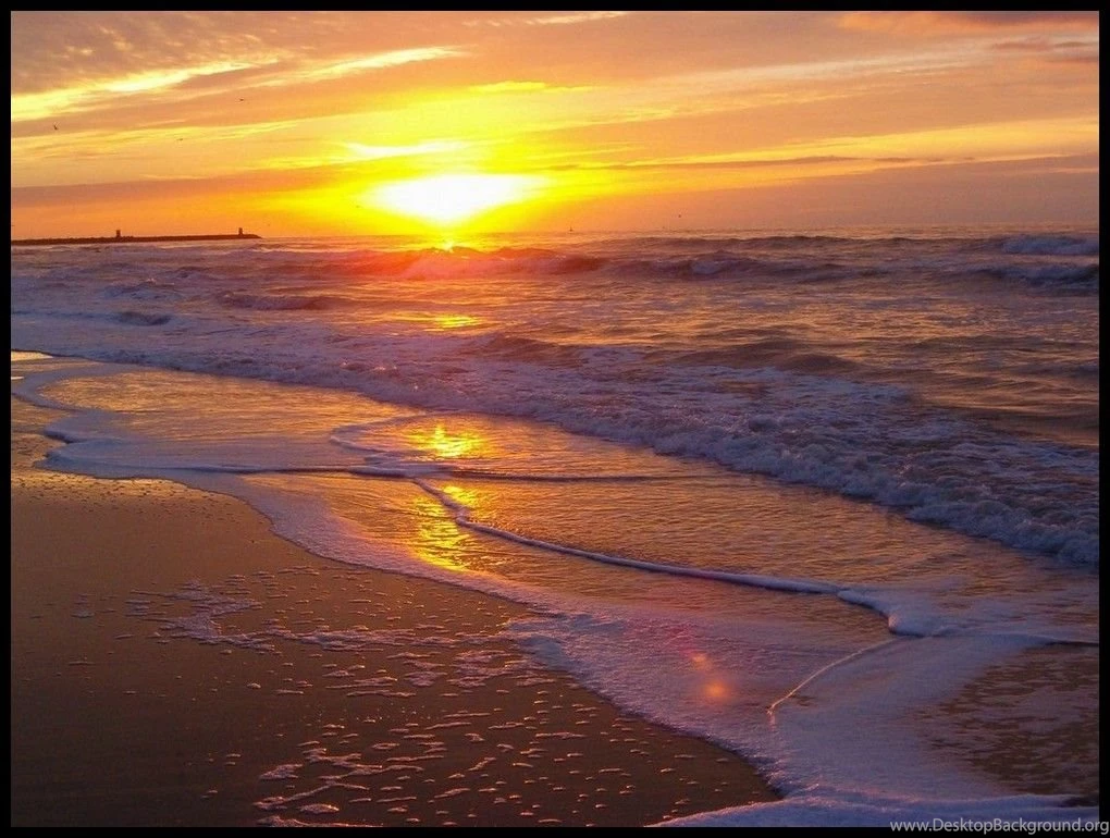 Beach Wallpapers Tropical Beach Backgrounds Wallpapers 35625 Beach ...