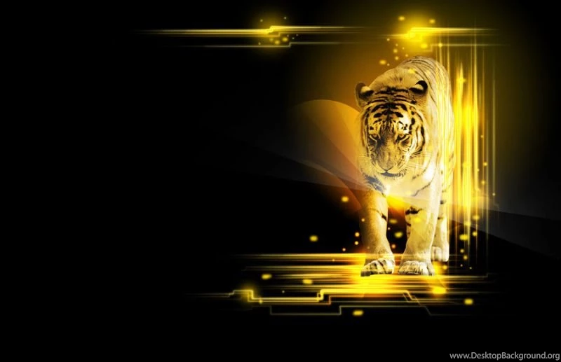 Top Ten HD Wallpapers Free Download