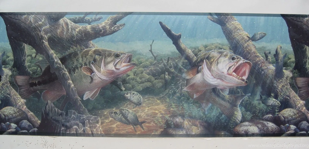 Bass_fish_wallpaper_border.jpg
