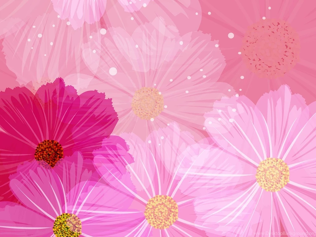 900x632px Floral Image Pink Backgrounds