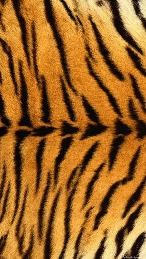 Tiger Skin Wallpapers