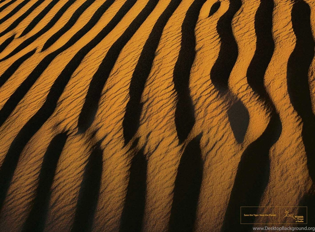 Tiger Skin Wallpapers