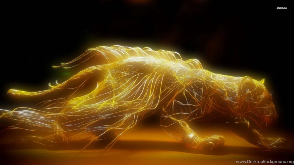 Tigers Pictures Wallpapers 800 HD Wallpapers