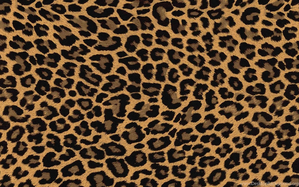 Leopard Skin Wallpapers Wide