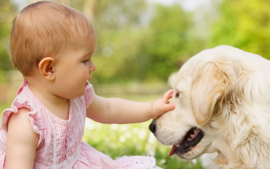 Cute baby and dog wallpaper.jpg