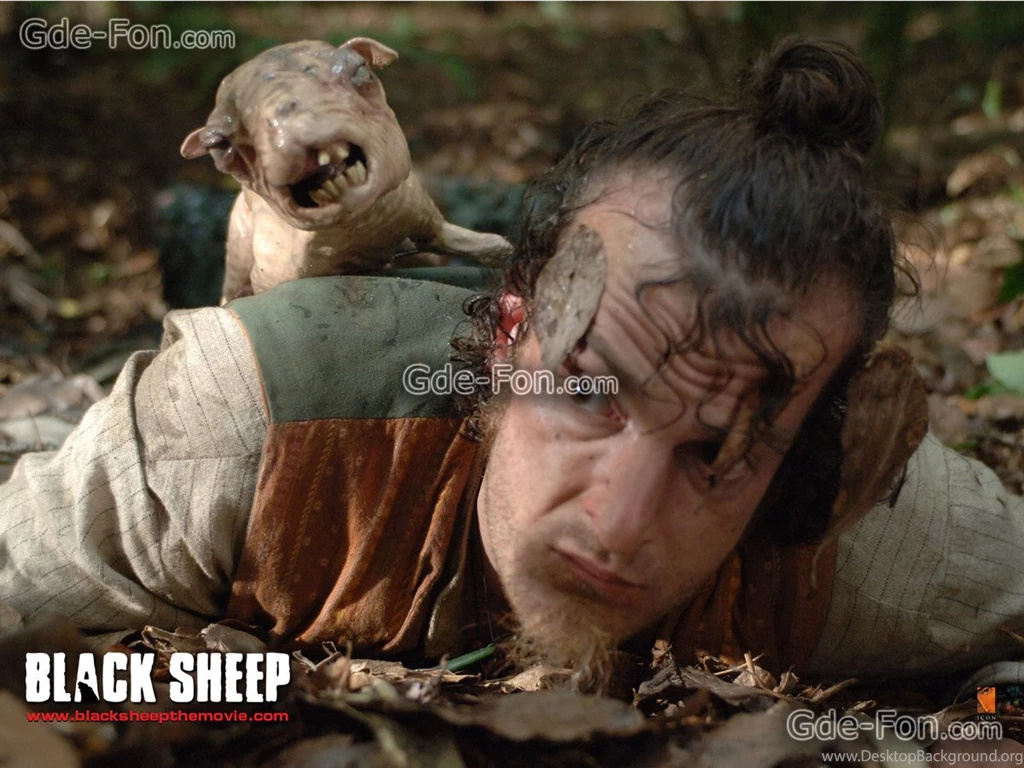 18922_parshivaya ovca_or_black sheep_1600x1200_www.Gde Fon.com.jpg